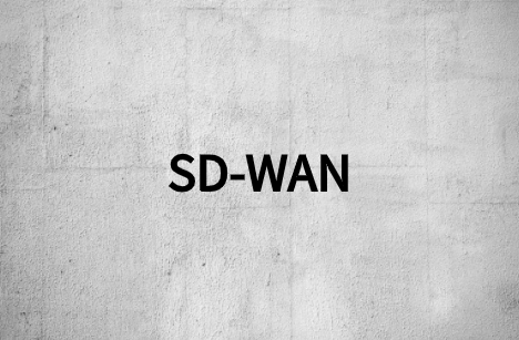 如何选择:揭示了SD-WAN的3类