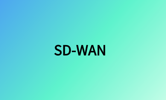 保护SD-WAN架构