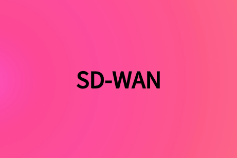 sdwan组网方式