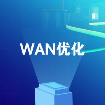 广域网优化