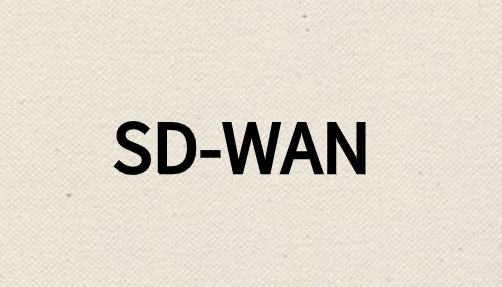 为什么需要对SD-WAN网络进行细分?