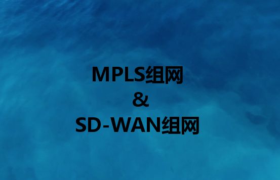 企业组网解决方案:组网或SD-WAN组网