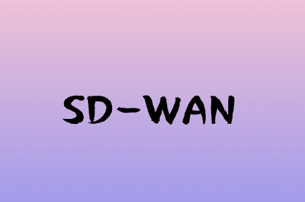 企业利用SD-WAN解决方案进行组网的好处
