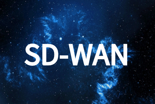 SD-WAN体系结构类型
