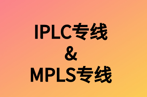 为什么有必要对专线/专线进行广域网优化?