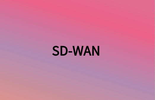 除连接性外,SD-WAN还提供很多网络优势